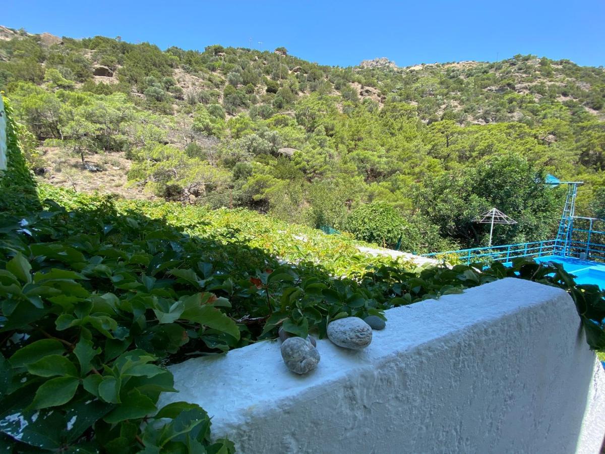 Oleander'S Garden Traditional Cretan Cottage Férma Kültér fotó